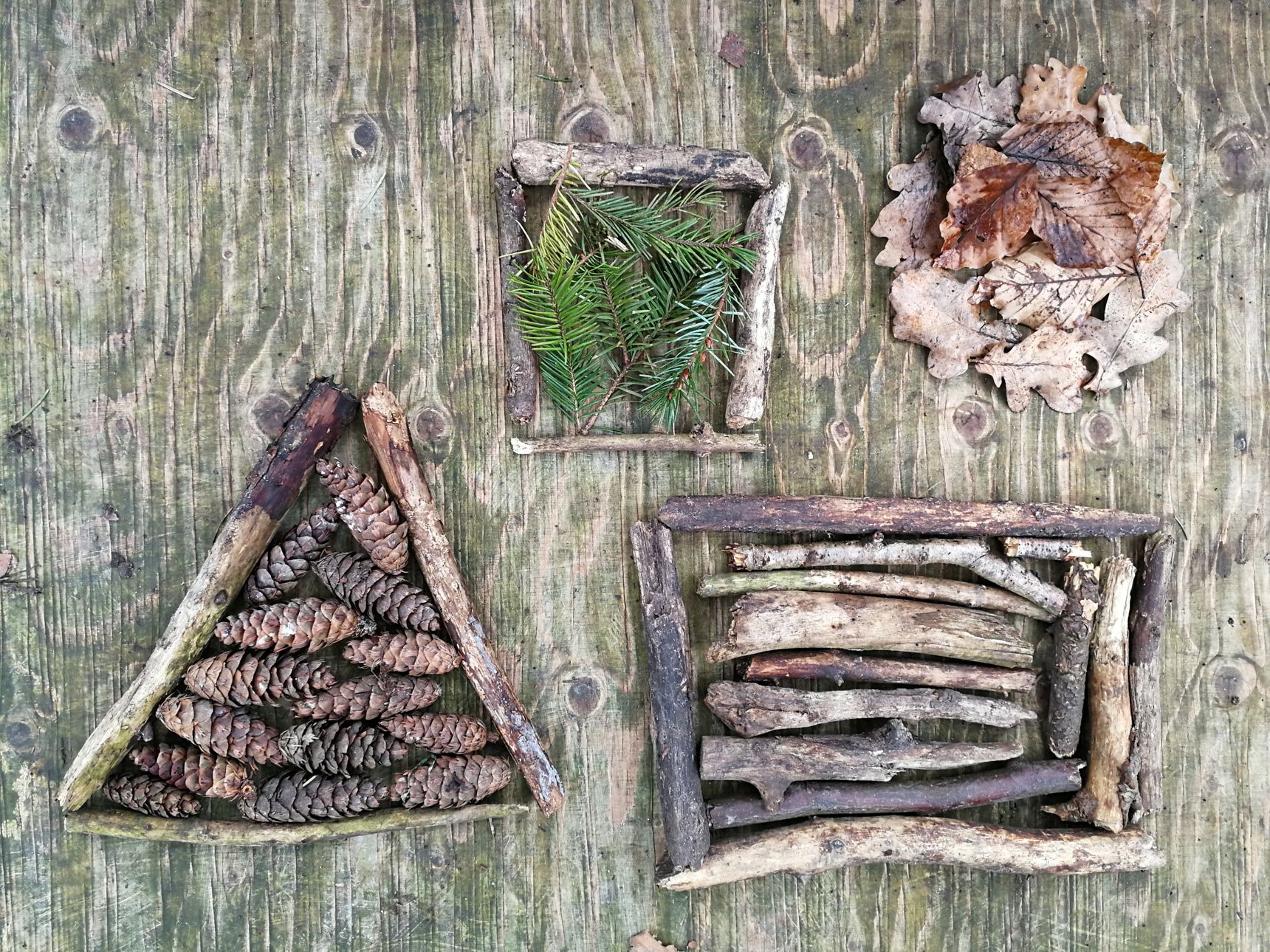 Geometriske former i naturmaterialer