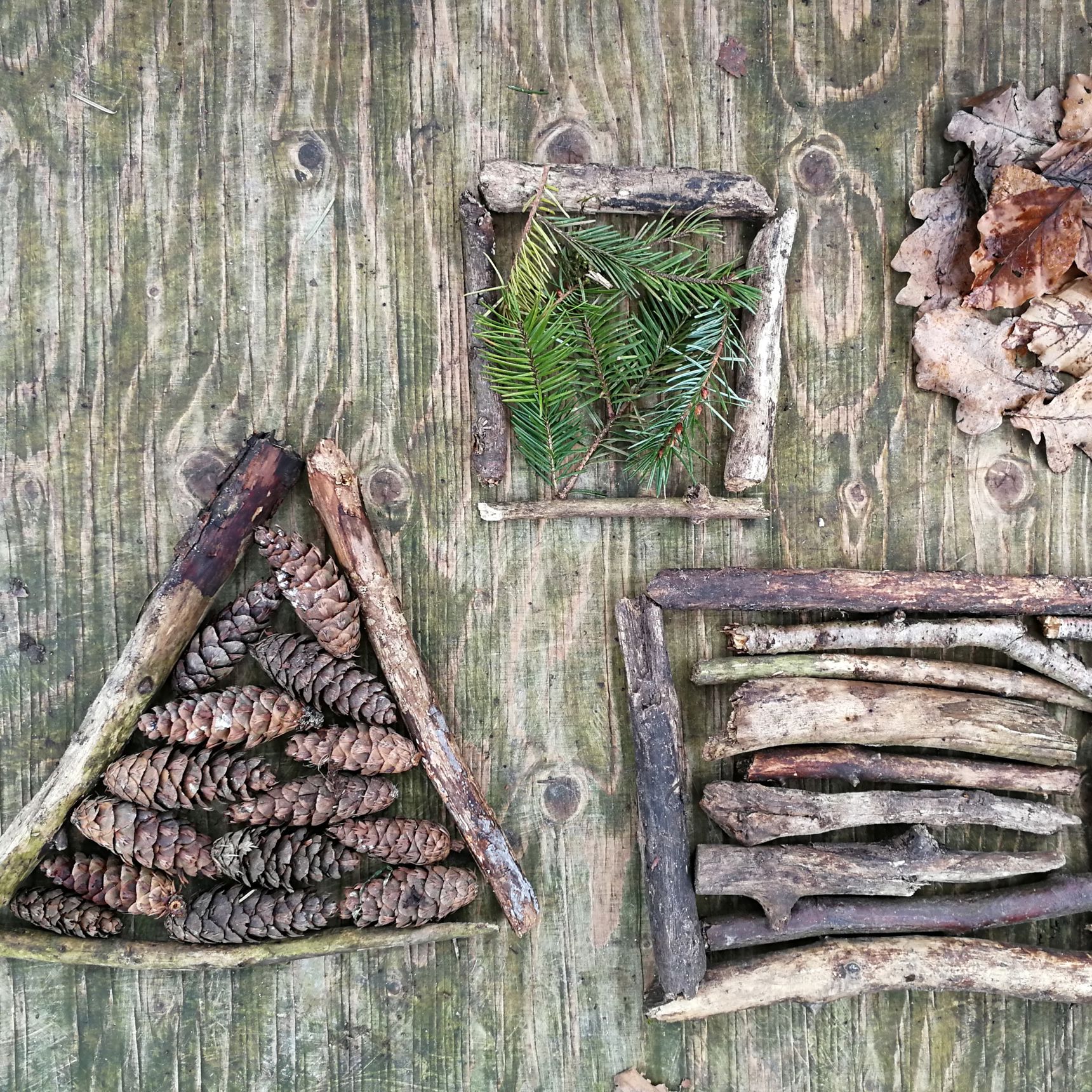 Geometriske former i naturmaterialer