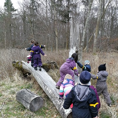 Børn, der kravler på træstamme