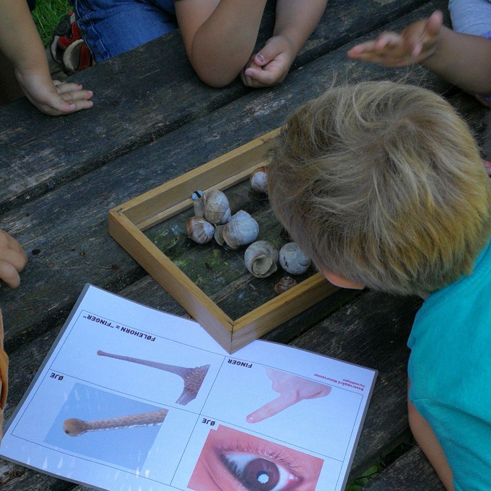Børn, der kigger på snegle