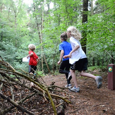 Børn på o-løb i skoven